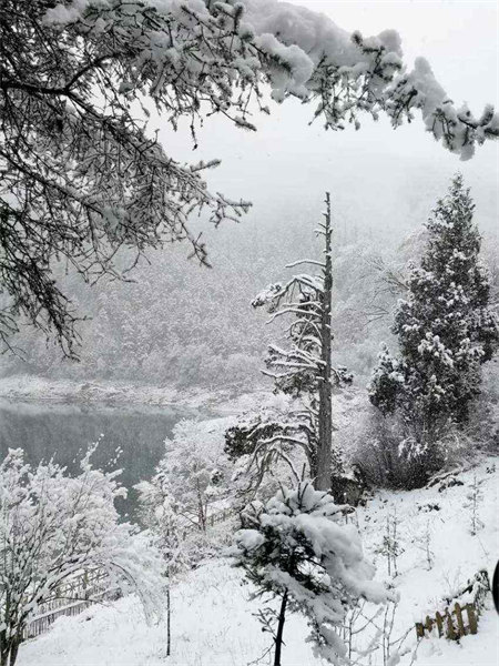 La danse des neiges de la vallée de Jiuzhaigou