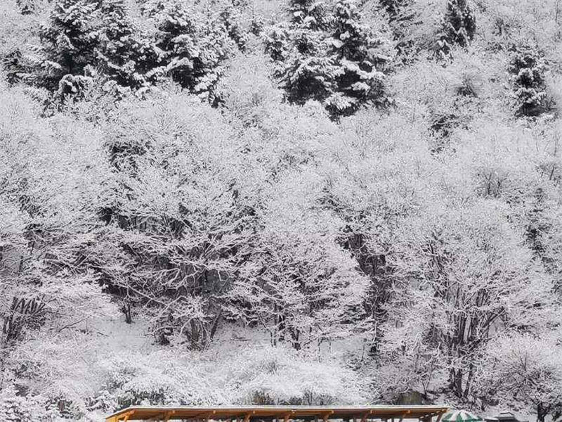 La danse des neiges de la vallée de Jiuzhaigou