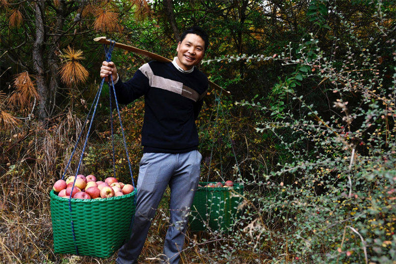 Un train de pommes apporte la prospérité aux agriculteurs du Yunnan