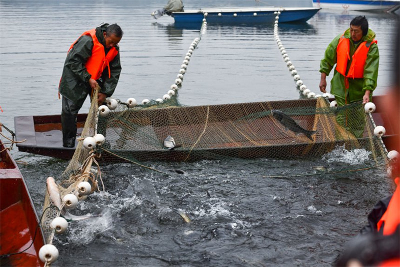 La pêche d'hiver démarre dans un réservoir écologique à Chongqing