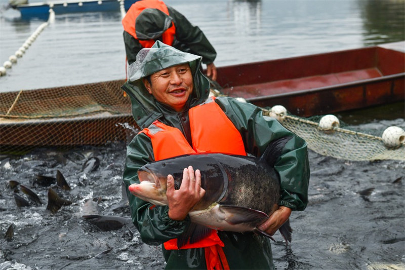 La pêche d'hiver démarre dans un réservoir écologique à Chongqing