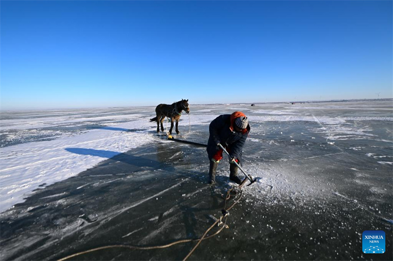 Jilin : des pêcheurs attrapent du poisson sur le lac Chagan