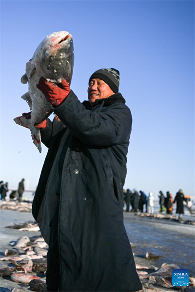 Jilin : des pêcheurs attrapent du poisson sur le lac Chagan