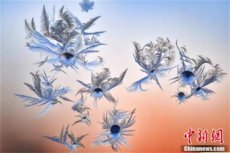 Les fleurs en glace de fenêtre du nord-est de la Chine : l'? art du papier découpé ? de la nature !