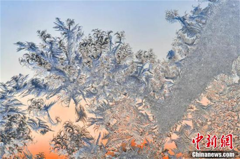 Les fleurs en glace de fenêtre du nord-est de la Chine : l'? art du papier découpé ? de la nature !