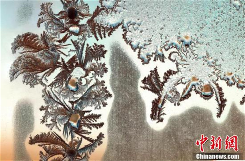 Les fleurs en glace de fenêtre du nord-est de la Chine : l'? art du papier découpé ? de la nature !