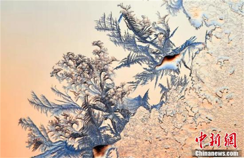 Les fleurs en glace de fenêtre du nord-est de la Chine : l'? art du papier découpé ? de la nature !