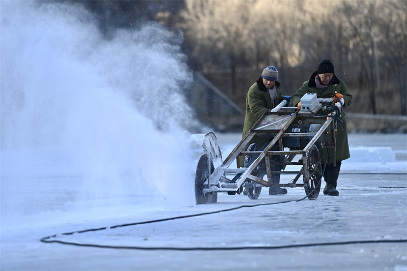 Des ouvriers collectent de la glace pour le Festival des lanternes de glace à Beijing