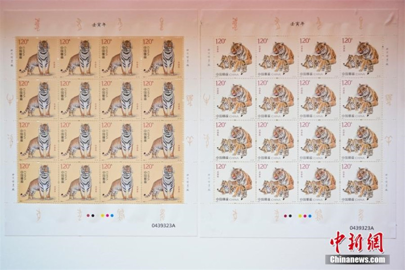 Des timbres spéciaux émis à Beijing pour célébrer l'Année du Tigre