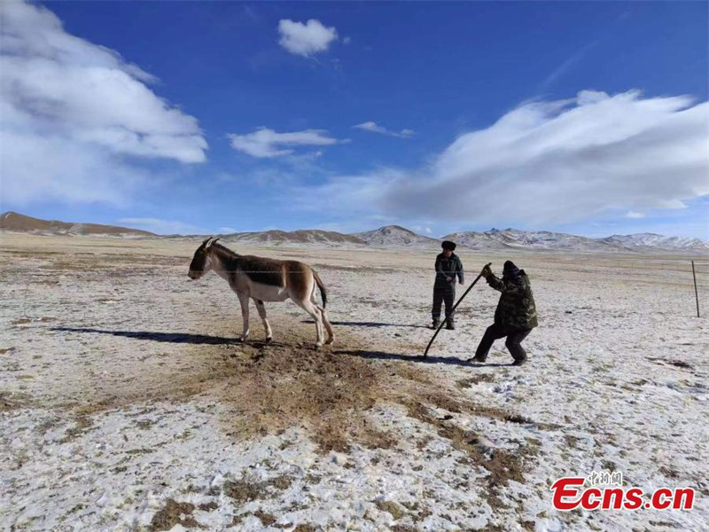 Le parc national de Sanjiangyuan effectue sa première patrouille de 2022