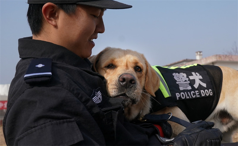 Wuhan : l'entra?nement des chiens policiers pour préparer la Fête du Printemps