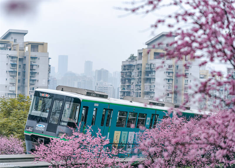 Chongqing : un train qui va vers le printemps