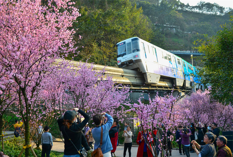 Chongqing : un train qui va vers le printemps