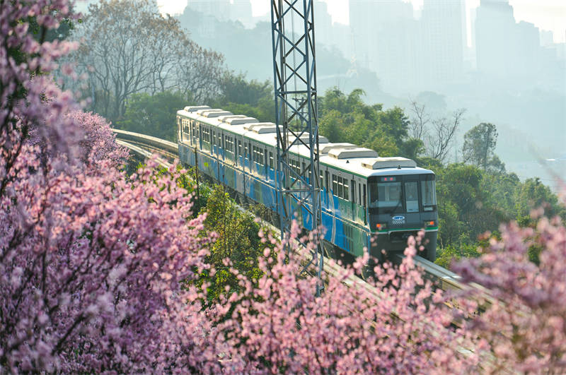 Chongqing : un train qui va vers le printemps