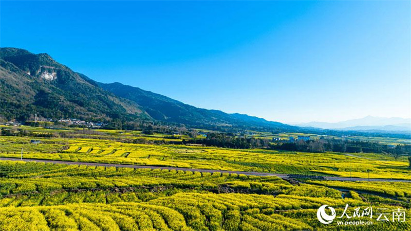 Yunnan : le ? grenier de Tengyue ? dans toute la beauté du printemps