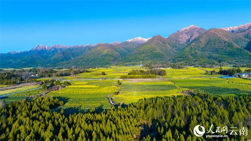 Yunnan : le ? grenier de Tengyue ? dans toute la beauté du printemps