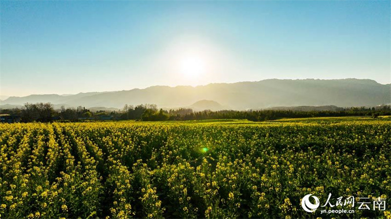 Yunnan : le ? grenier de Tengyue ? dans toute la beauté du printemps