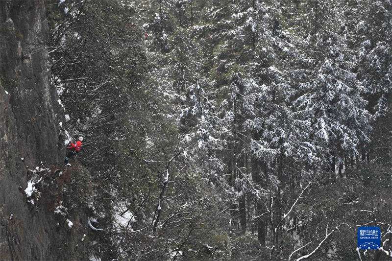 Hunan : des secouristes braves affrontent des montagnes enneigées