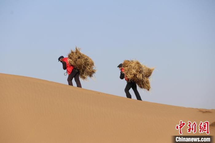 Le Gansu lutte contre l'avancée du désert de Tengger