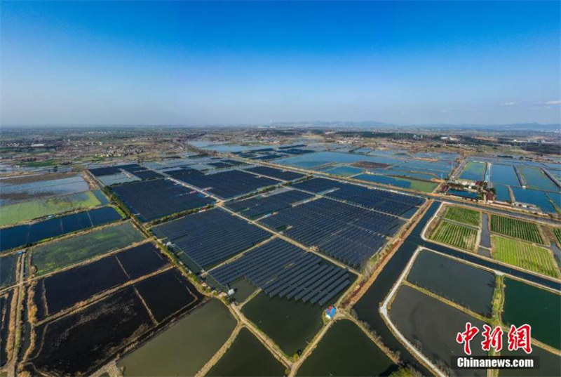 Anhui : une centrale solaire de 110MV construite dans une ferme piscicole