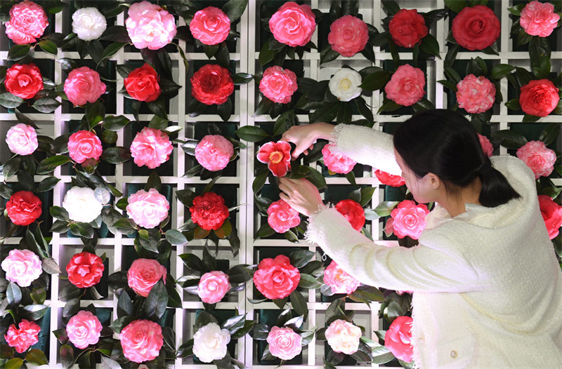 Dans le Zhejiang, les camélias ouvrent la voie vers la prospérité