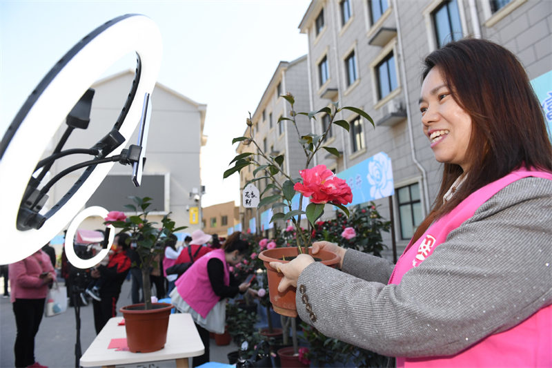 Dans le Zhejiang, les camélias ouvrent la voie vers la prospérité