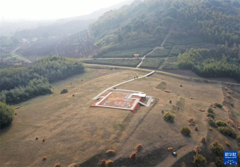 Liangzhu : un grain de riz vieux de plus de 5 000 ans