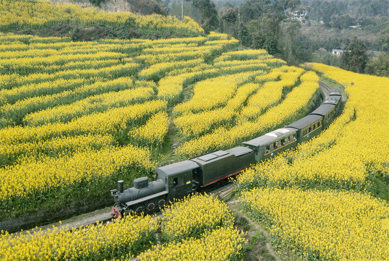 Sichuan : le petit train qui se dirige vers le printemps