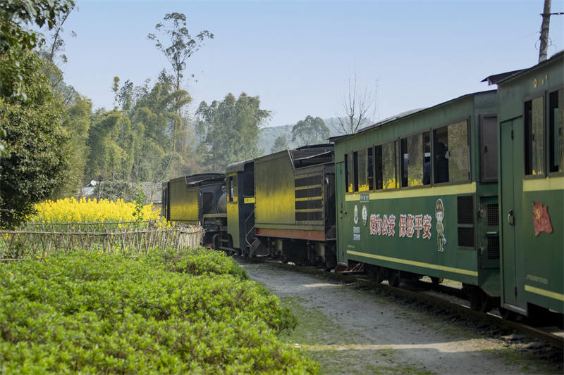 Sichuan : le petit train qui se dirige vers le printemps