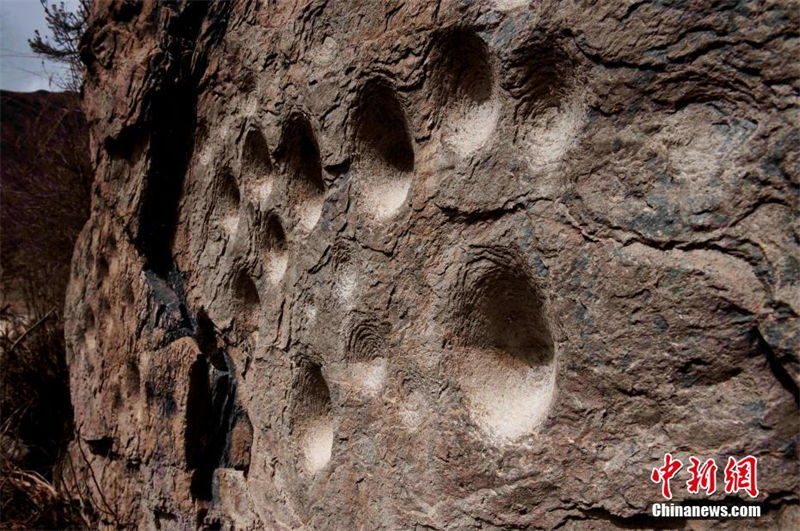 Un ensemble de pétroglyphes découvert dans une grotte dans la province du Qinghai