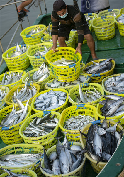 Hainan : une pêche fructueuse par un beau temps printanier