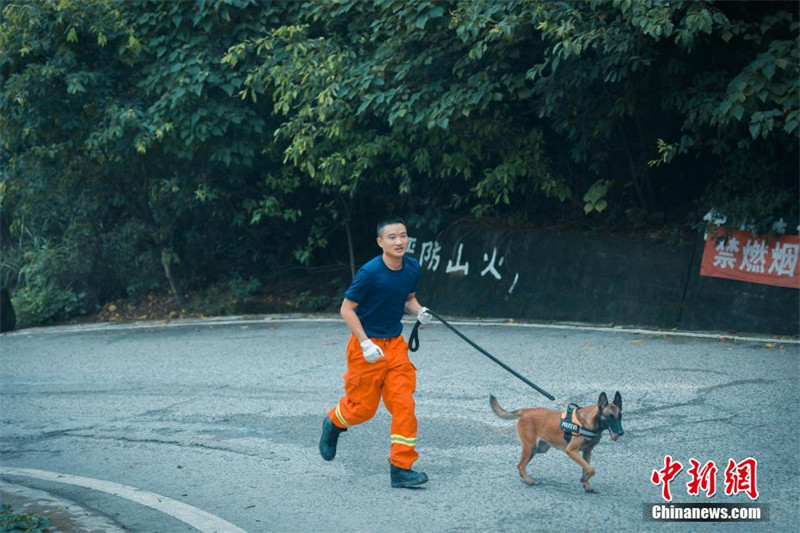 Les pompiers de Chongqing font leurs adieux à un chien de recherche et de sauvetage mort à 8 ans