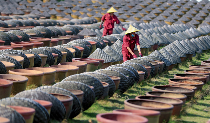 Sichuan : la production de sauce de soja sous le soleil du printemps à Luzhou