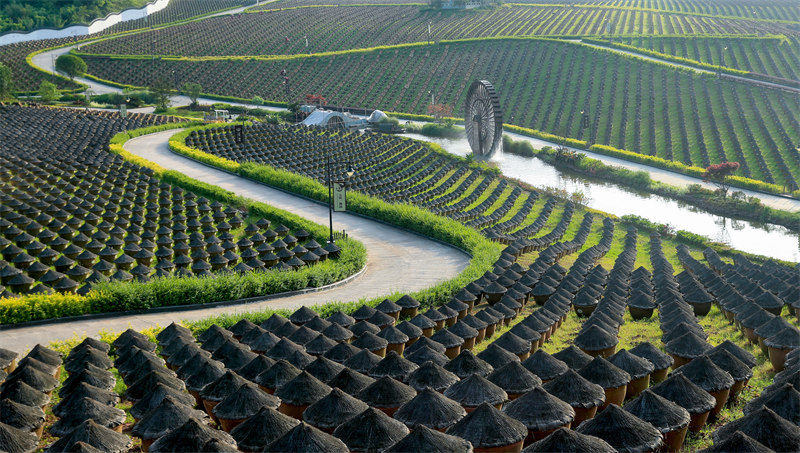 Sichuan : la production de sauce de soja sous le soleil du printemps à Luzhou