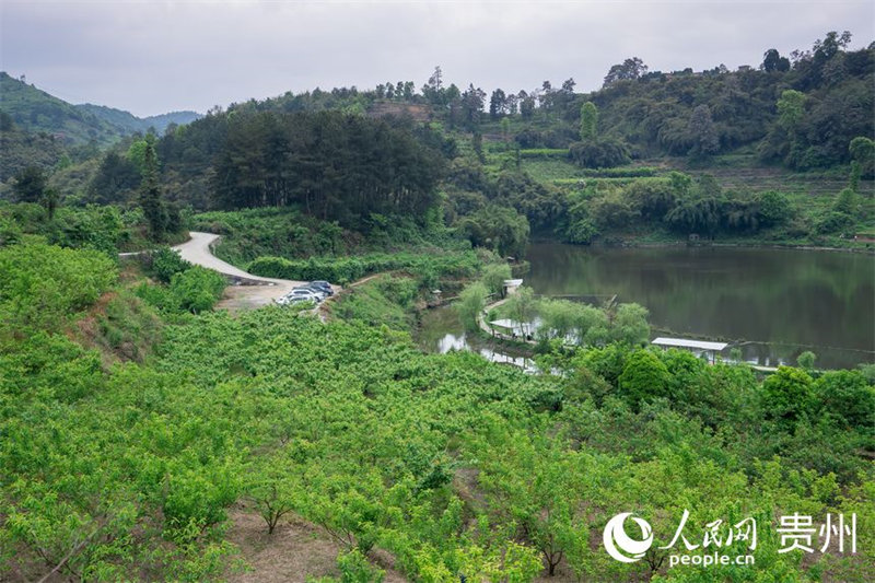 Guizhou : les cerises sont rouges et la vie est douce