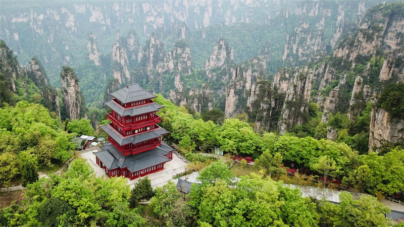 Chine : zone touristique de Wulingyuan au Hunan