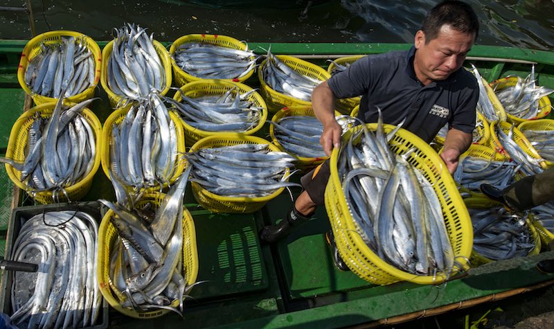 Hainan : le moratoire sur la pêche approche et la pêche bat son plein à Qionghai