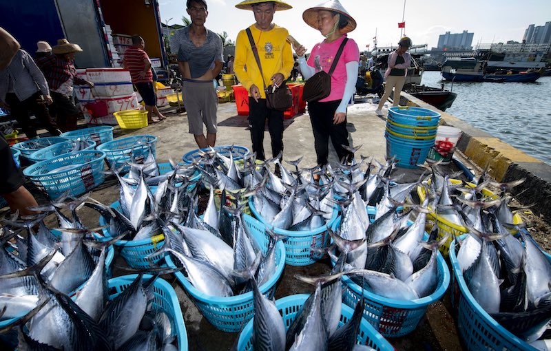 Hainan : le moratoire sur la pêche approche et la pêche bat son plein à Qionghai