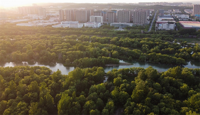 Henan : un ancien canal de nouveau animé à Luoyang