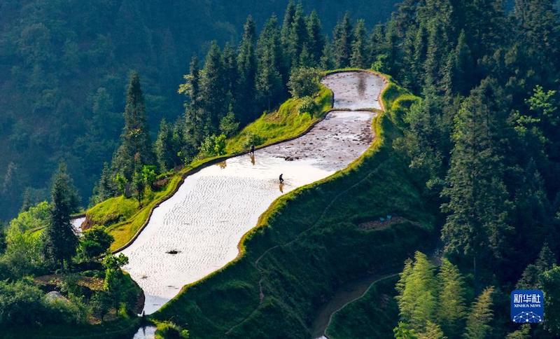 Sichuan : les villageois s'affairent aux activités agricoles