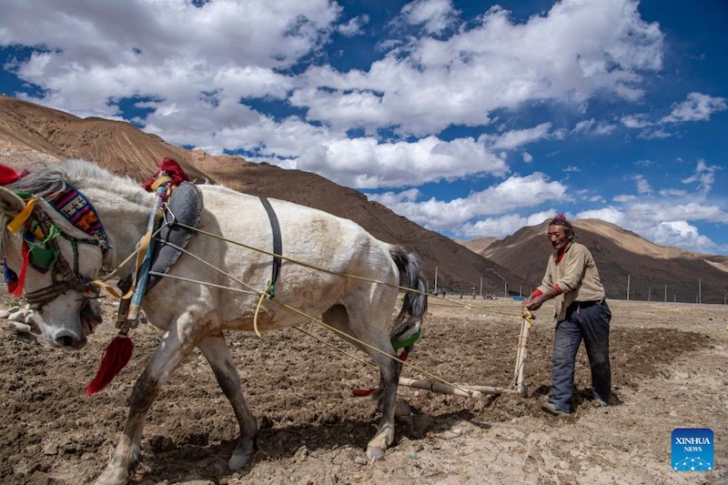 Les travaux agricoles de printemps commencent dans la commune administrative la plus proche du mont Qomolangma