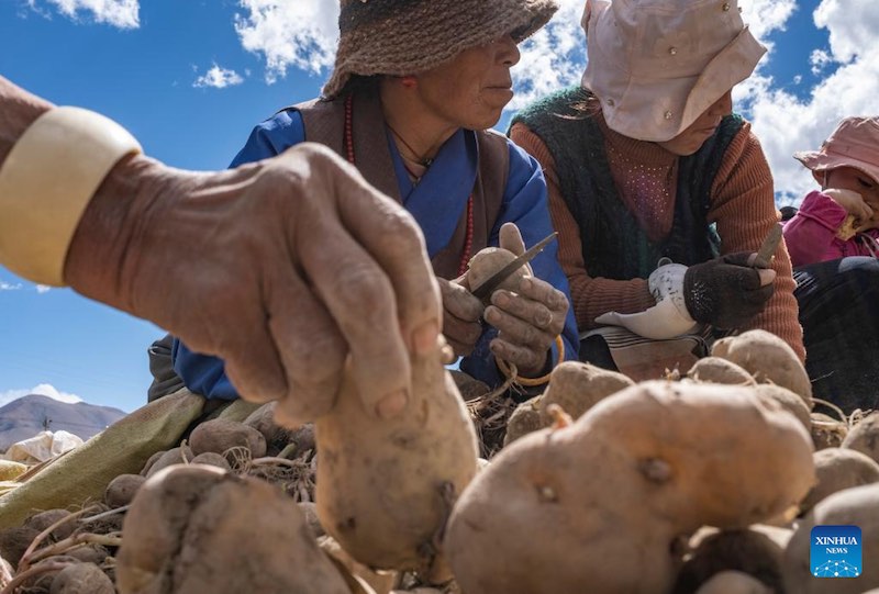 Les travaux agricoles de printemps commencent dans la commune administrative la plus proche du mont Qomolangma