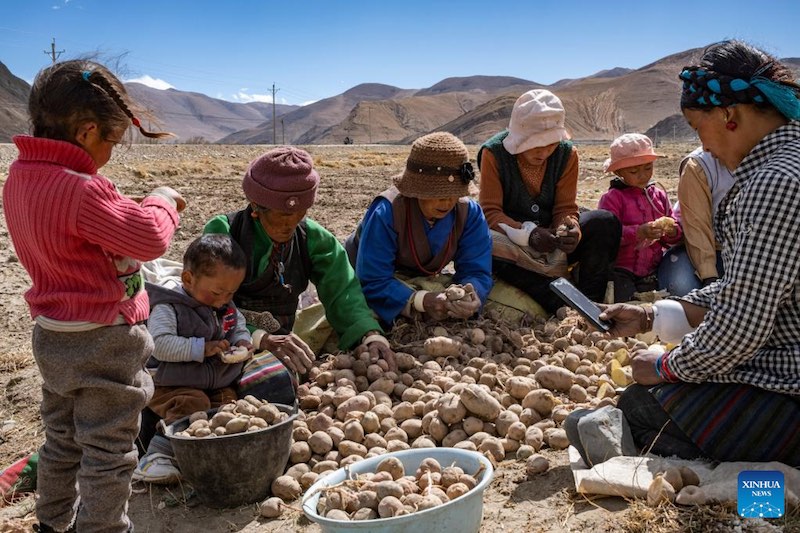 Les travaux agricoles de printemps commencent dans la commune administrative la plus proche du mont Qomolangma