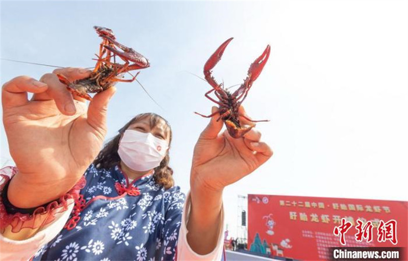 Jiangsu : la récolte intensive des écrevisses a débuté dans le comté de Xuyi, la ? capitale de l'écrevisse ?