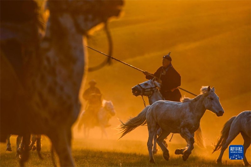 Mongolie intérieure : les chevaux courent dans les prairies d'été