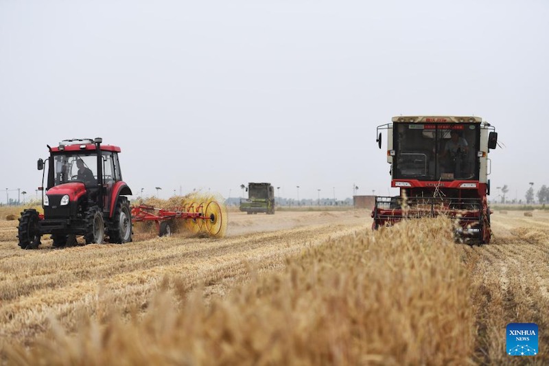 La récolte du blé dans le Henan