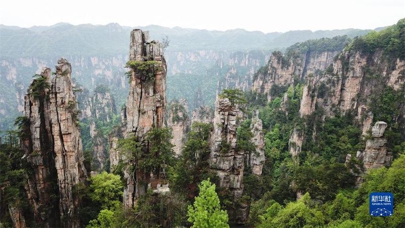 Hunan : le patrimoine mondial naturel de Wulingyuan vu d'en haut