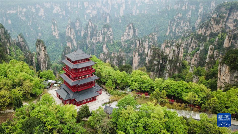 Hunan : le patrimoine mondial naturel de Wulingyuan vu d'en haut