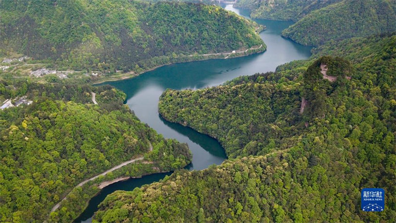 Hunan : le patrimoine mondial naturel de Wulingyuan vu d'en haut