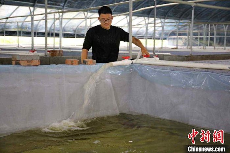 Un ? village star ? renommé pour l'élevage des écrevisses ? nobles ? dans le Guangxi